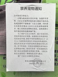 物业通知禁养宠物引争议，权利与责任的平衡